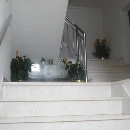 Apartments Ivanka Zadar Dış mekan fotoğraf