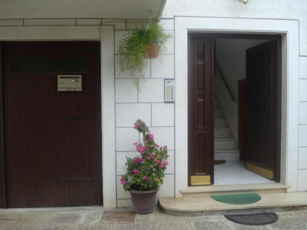 Apartments Ivanka Zadar Dış mekan fotoğraf